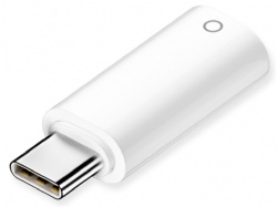 , USB-C Male to Pencil Charging Adapter for iPad 10th Gen, Type C iPencil Charger Connector Dongle Connector for iPad 10