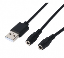 1m USB 2.0 A male to 2*DC Splitter cable