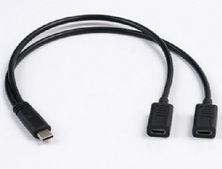 1 Feet USB Type C Male to 2 Dual Type C Female Y Splitter Extension Charging Cable(Only for Charging) (1M to 2*FM)